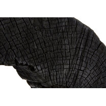 Data?1773666052