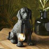 Data?1773675671
