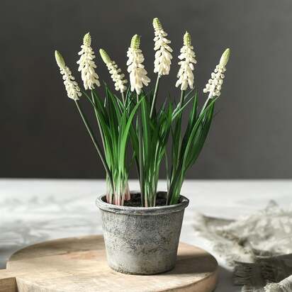 White Grape Hyacinth - Faux Potted Plant - The Cotswold Company