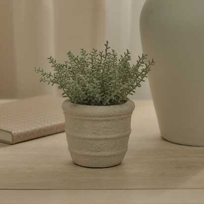 Kew 14cm Sarcandra In Paper Mache Pot