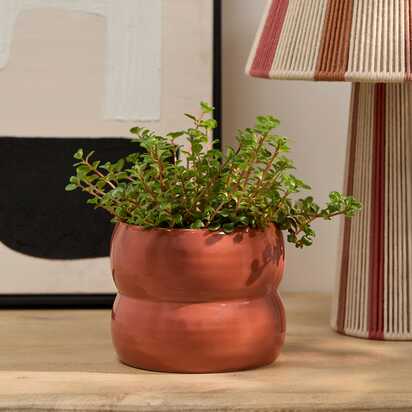 Harlesden 13cm Plant Pot - Paprika
