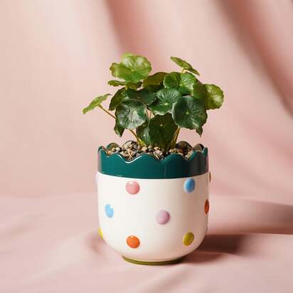 Raspberry Blossom Artificial Bobble Plant Pot