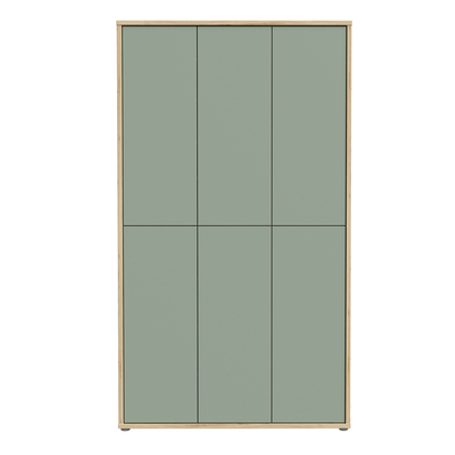 Pembroke Shoe Cabinet with 6 Doors Push-to-Open in Artisan Oak and Sage Green Doors