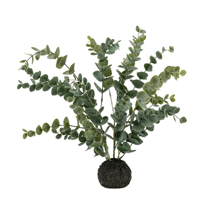 Studio Eucalyptus in Soil Grey Green H510mm