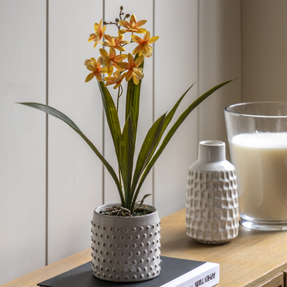 Elmdale Orange in White Ceramic Dot Pot