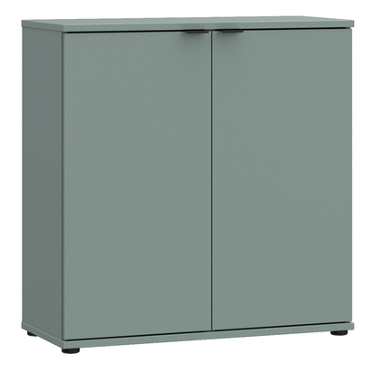 Henley 4 2 Door Cupboard in Sage Green