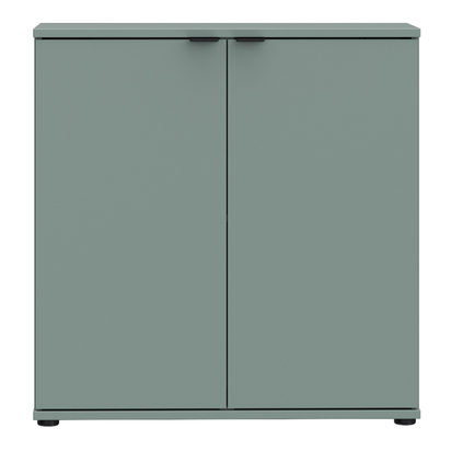 Henley 4 2 Door Cupboard in Sage Green