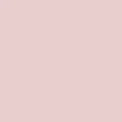The Little Greene Paint Company Absolute Matt Emulsion Pinks & Purples Tester Pot Confetti (274)
