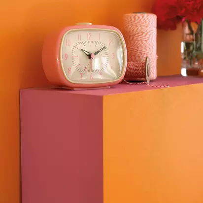 The Little Greene Paint Company Absolute Matt Emulsion, Red, Pink & Orange Tester Pot Carmine (189)