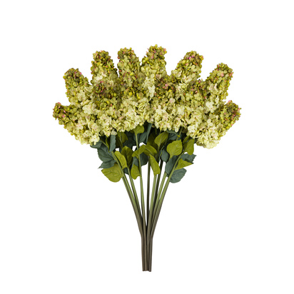 Sutton Cone Hydrandea Stem White (12pk)