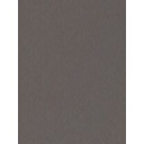 Data?1780939038