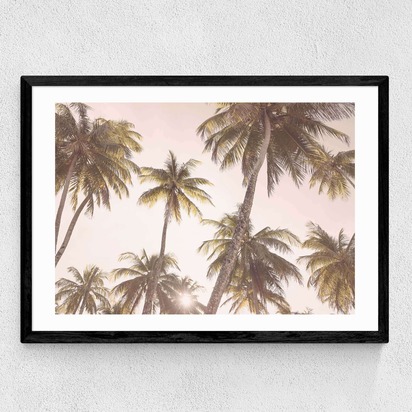 Palm Trees A3 (29.7 x 42cm) Frame Black Medium (22mm) 