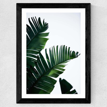 Palm Leaves 50x70cm Frame Black Narrow (15mm) 