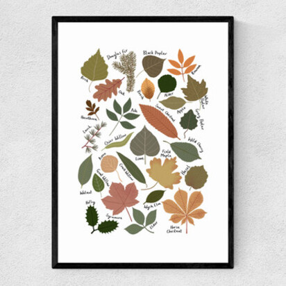 Leaf Chart A3 (29.7 x 42cm) Frame Natural Oak Narrow (15mm) 