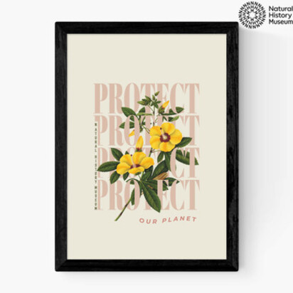 Protect Yellow Flower A3 (29.7 x 42cm) Frame Natural Oak Medium (22mm) 