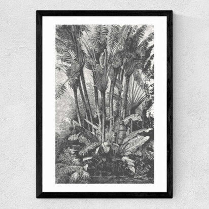 Palms in Water A3 (29.7 x 42cm) Unframed 