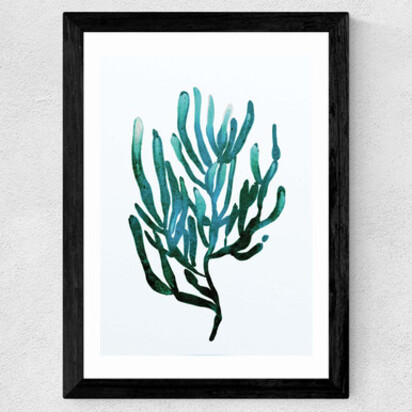 Seaweed by Dan Hobday A3 (29.7 x 42cm) Frame Black Narrow (15mm) 