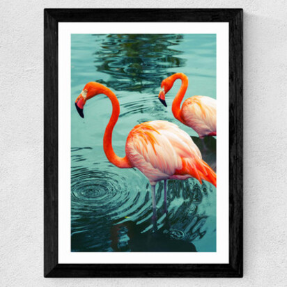 Flamingoes A1 (59.4 x 84.1cm) Frame Black Medium (22mm) 