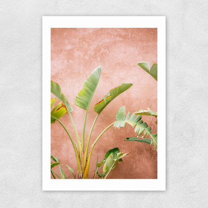 Marrakech Palms A2 (42 x 59.4cm) Unframed 