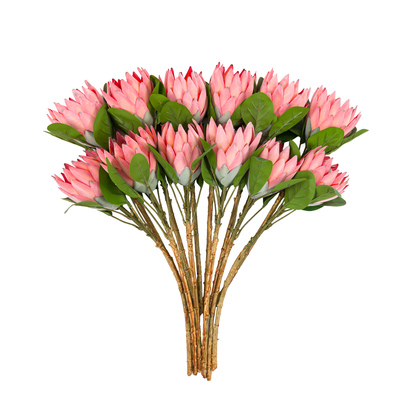 Faux Classic Stem Statement Tropical Apricot (12pk)