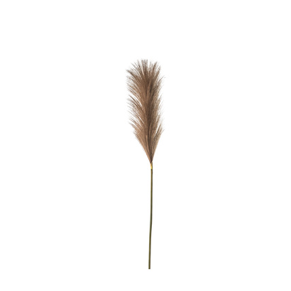 Aveline Soft Feather Stem Brown (5pk)