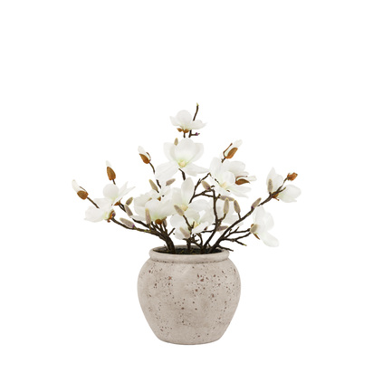 Elmcott Vase Arrangement