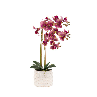 Elmdale in Moss Ceramic Dot Pot Pink