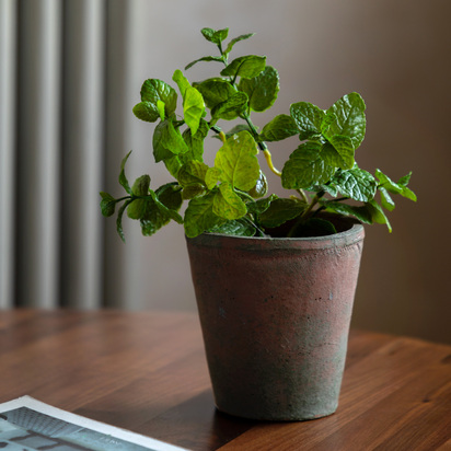 Hadley Mint Terracotta