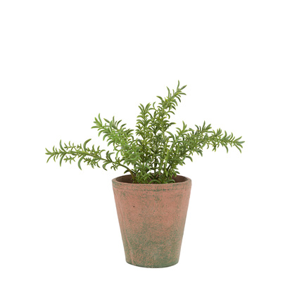 Hadley Rosemary Terracotta