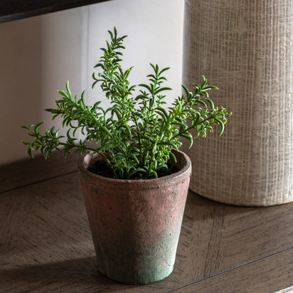 Hadley Rosemary Terracotta