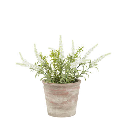Hadley Rustic White Lavendar