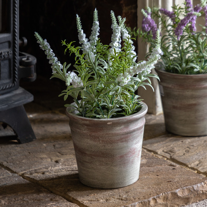 Hadley Rustic White Lavendar