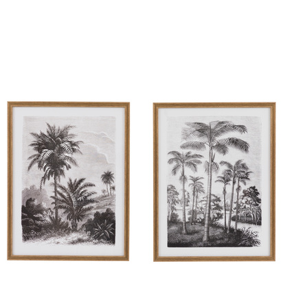 Petal Study Framed Art Set of 2