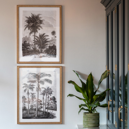 Petal Study Framed Art Set of 2