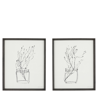 Botanist Framed Art Set of 2
