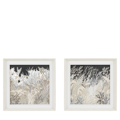 Petal Study Canvas Set of 2