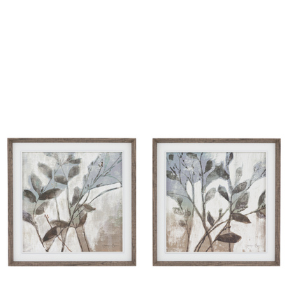 Flora Study Canvas Set of 2