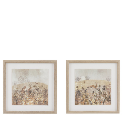 Petal Study Framed Art Set of 2