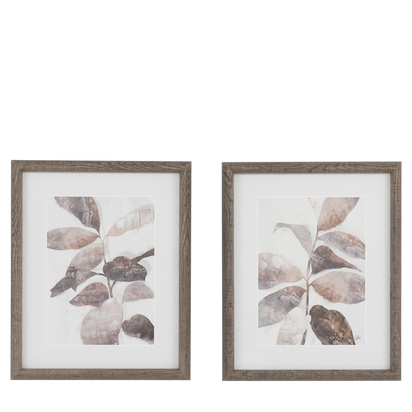 Botanist Framed Art Set of 2