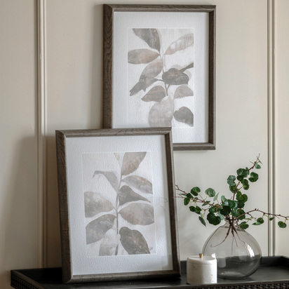 Botanist Framed Art Set of 2