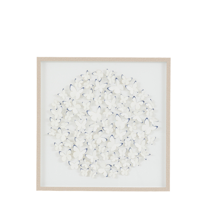 Petal Study Framed Art