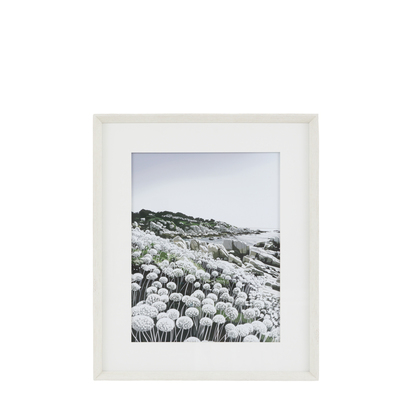 Flora Study Framed Art