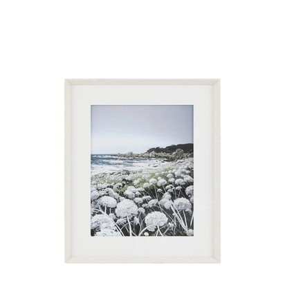 Petal Study Framed Art