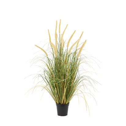Hadley Grass with Cattail Seed Heads  - Large