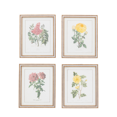 Flora Study Framed Art