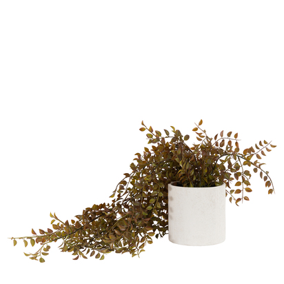Kendal Brown Trailing Vine In Rustic Pot