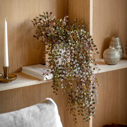 Kendal Brown Trailing Vine In Rustic Pot