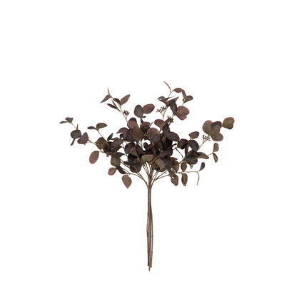 Richmond Burgundy Eucalyptus Stems (5pk)