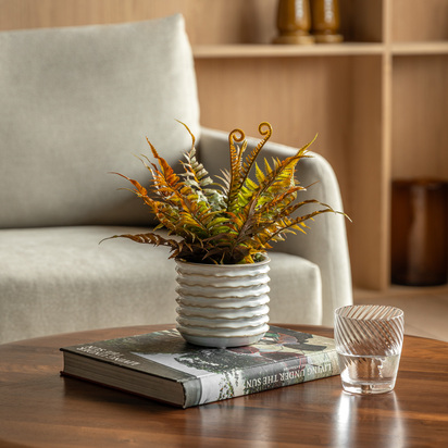 Grasmere Faded Fern In Ceramic White Pot