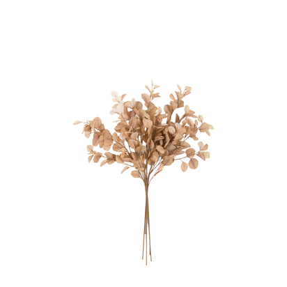 Rye Natural Eucalyptus Stems (5pk)